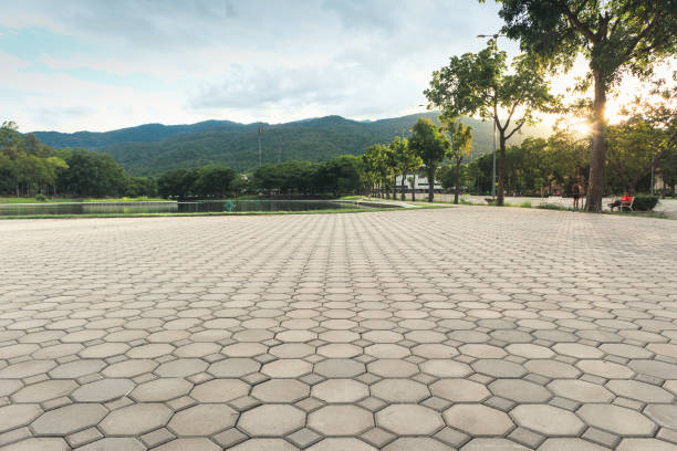 Residential Paver Driveway in Mclendon Chisholm, TX